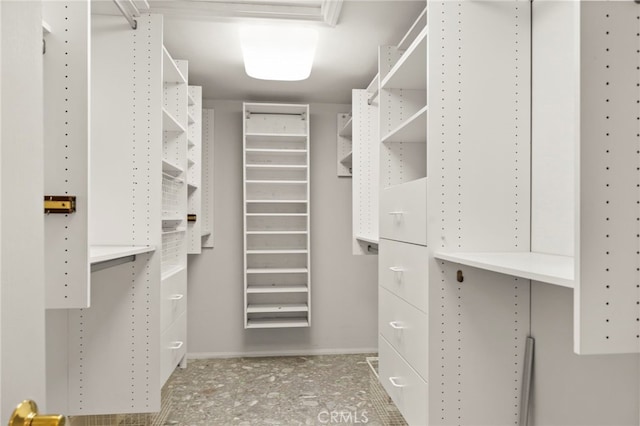 view of spacious closet