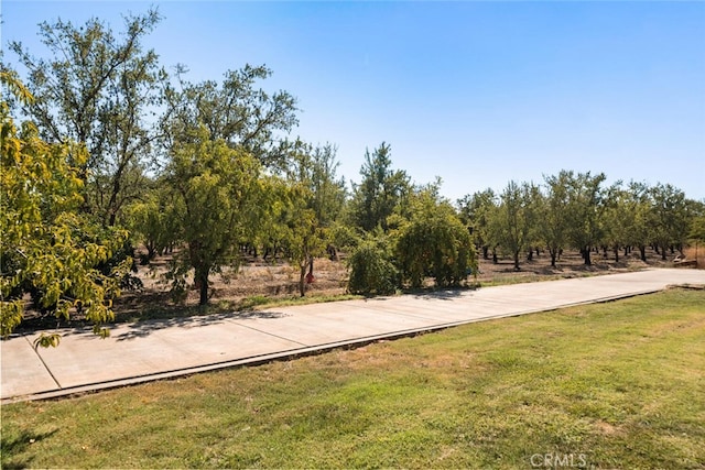 view of community with a yard and a rural view