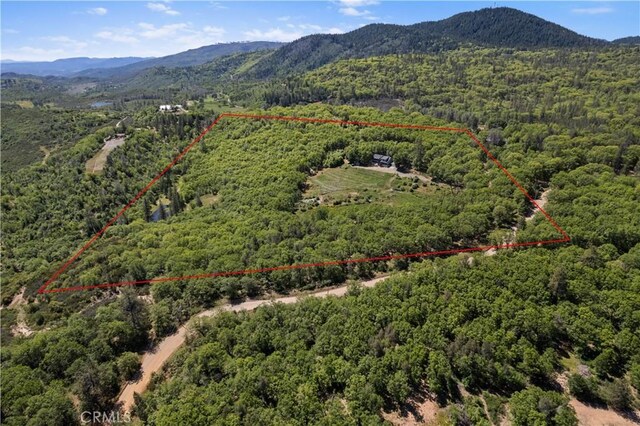 11275 Diener Dr, Kelseyville, CA 95451 - photo 52