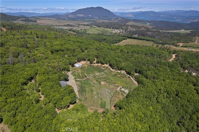 drone / aerial view featuring a mountain view