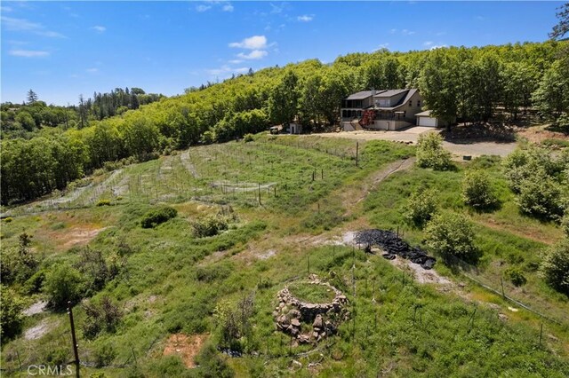 11275 Diener Dr, Kelseyville, CA 95451 - photo 56