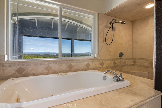 bathroom with shower with separate bathtub