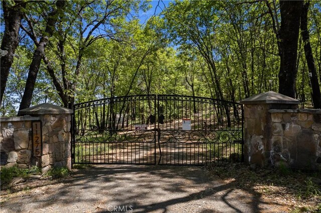 11275 Diener Dr, Kelseyville, CA 95451 - photo 46