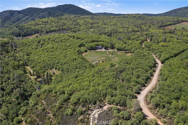 drone / aerial view with a mountain view