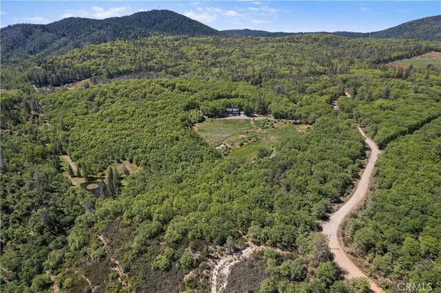 11275 Diener Dr, Kelseyville, CA 95451 - photo 54