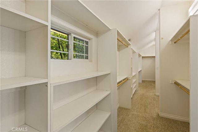 walk in closet featuring light carpet