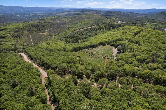 11275 Diener Dr, Kelseyville, CA 95451 - photo 48