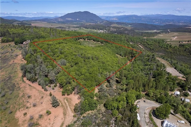 11275 Diener Dr, Kelseyville, CA 95451 - photo 51