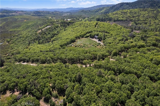 drone / aerial view featuring a mountain view