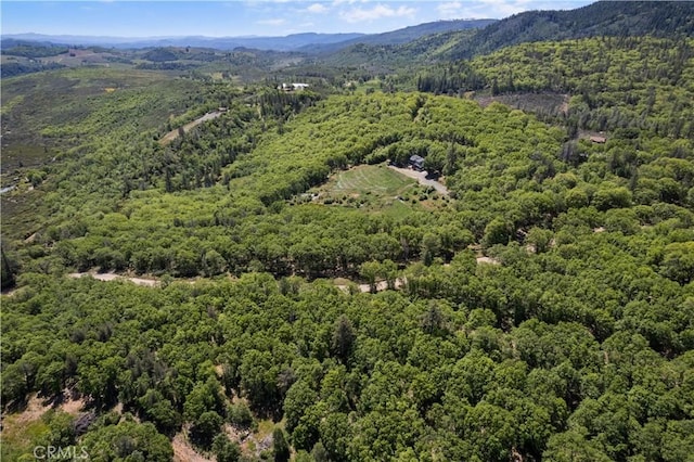 11275 Diener Dr, Kelseyville, CA 95451 - photo 49