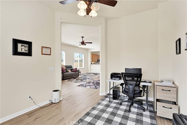 office space featuring hardwood / wood-style flooring and ceiling fan