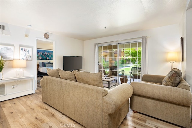 living room featuring light wood-type flooring