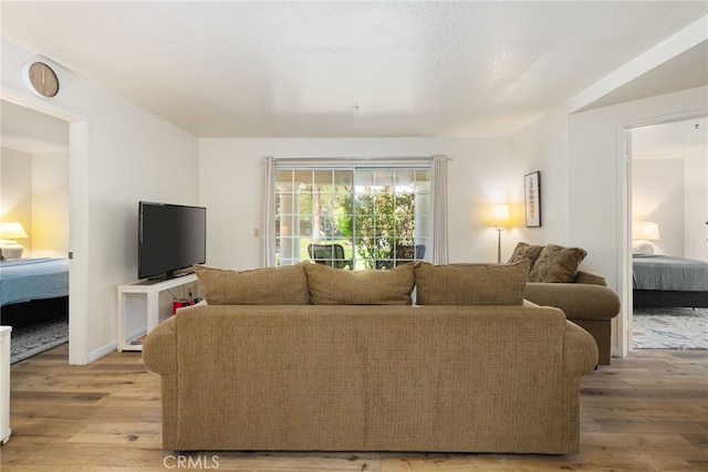 living room featuring light hardwood / wood-style flooring