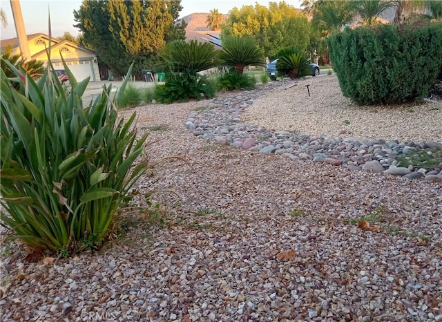 view of yard featuring a garage