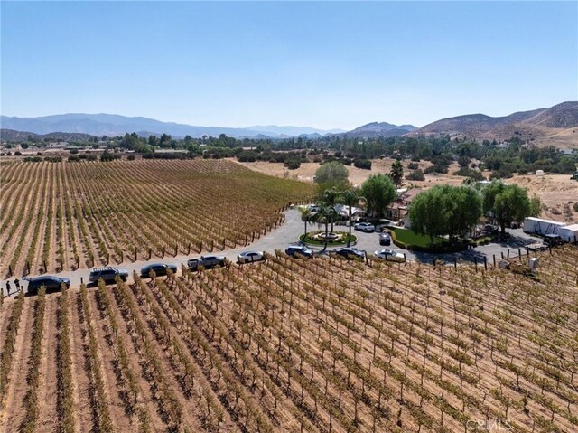 birds eye view of property with a rural view and a mountain view