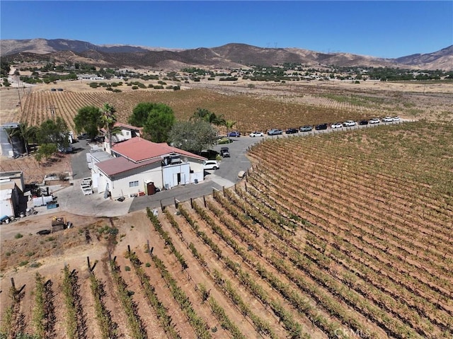 birds eye view of property with a mountain view and a rural view