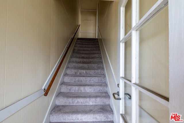 stairs featuring carpet