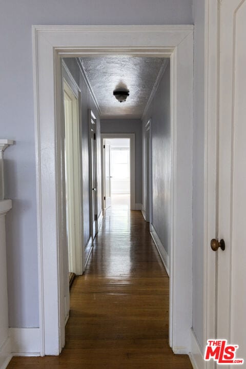 hall featuring crown molding and dark wood-type flooring