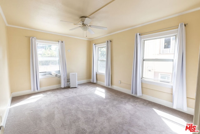 interior space featuring ceiling fan and crown molding