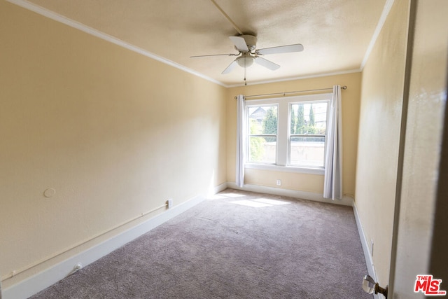 carpeted empty room featuring ceiling fan and ornamental molding