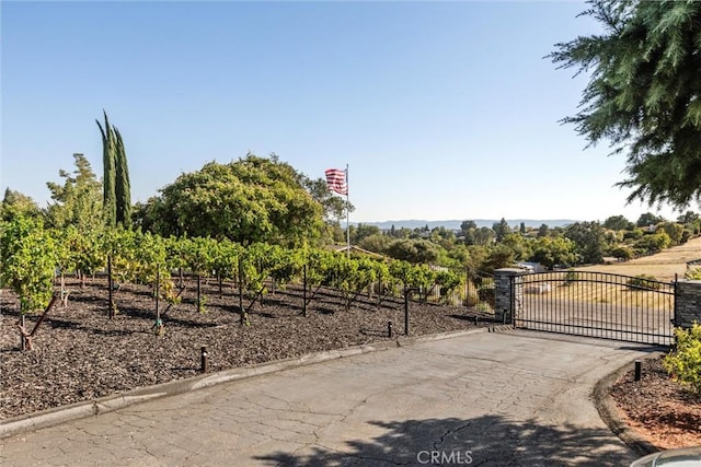 925 Osos Way, Paso Robles, CA 93446 - photo 63