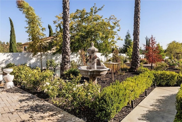 925 Osos Way, Paso Robles, CA 93446 - photo 65