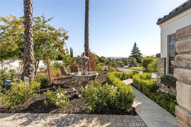 925 Osos Way, Paso Robles, CA 93446 - photo 10