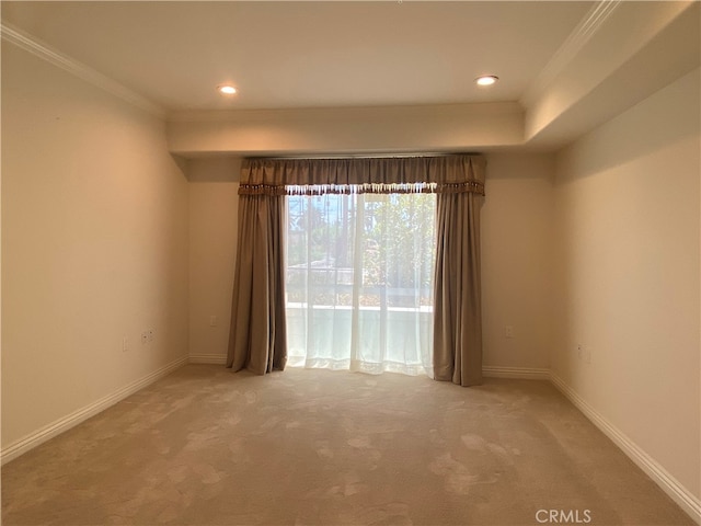 empty room with crown molding and carpet flooring