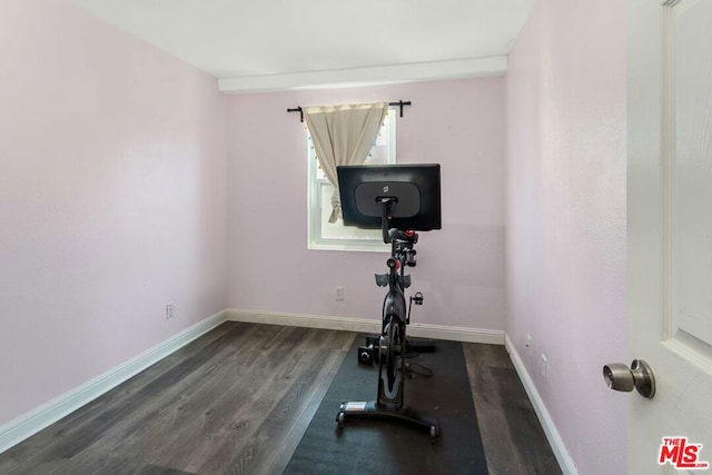 workout room featuring dark hardwood / wood-style floors