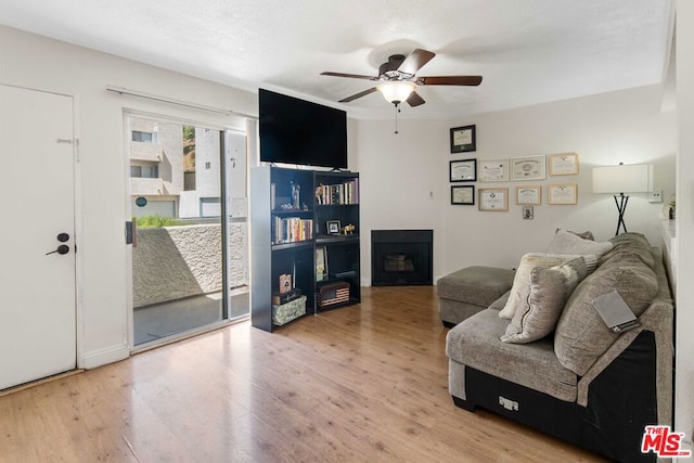 living room featuring ceiling fan and wood-type flooring