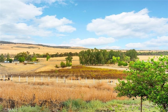 view of landscape with a rural view