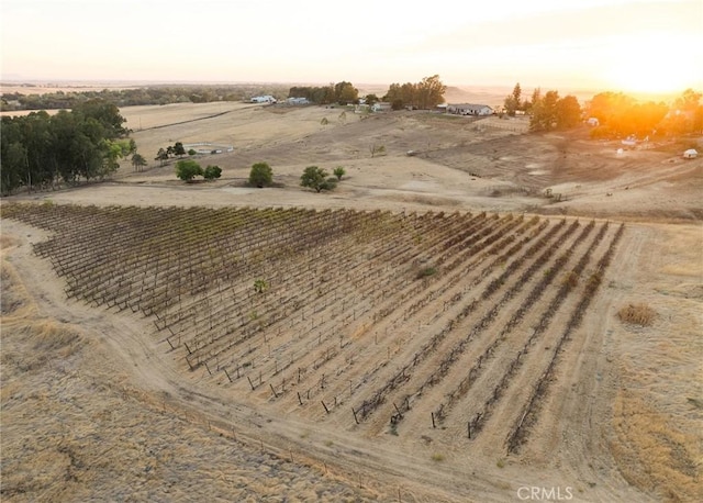 aerial view at dusk featuring a rural view