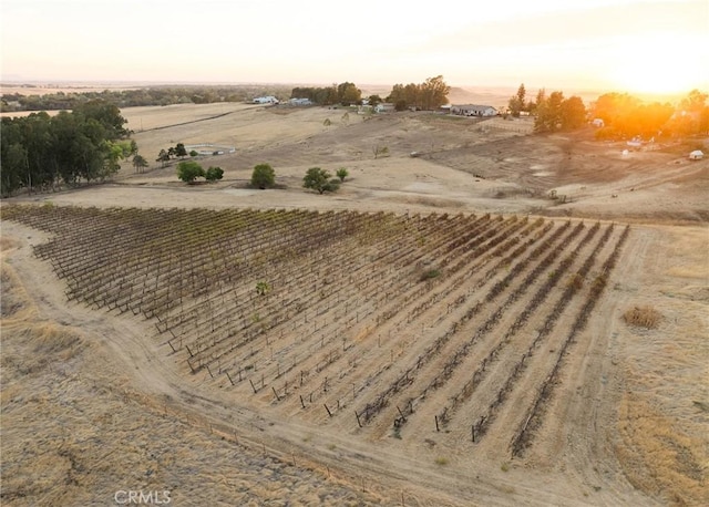 bird's eye view with a rural view