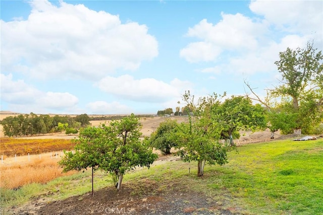 view of yard featuring a rural view