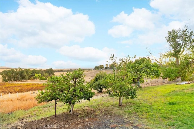 view of nature with a rural view