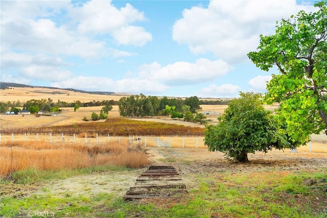 view of yard featuring a rural view