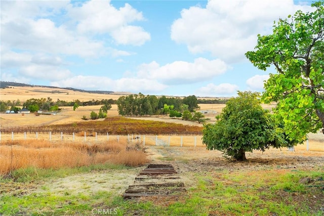 view of yard featuring a rural view