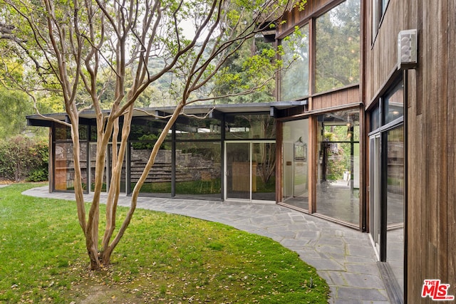 rear view of house featuring a patio and a yard