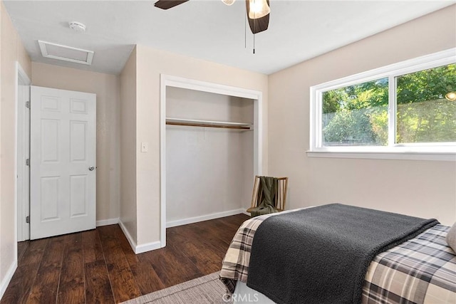 bedroom featuring ceiling fan, dark hardwood / wood-style floors, and a closet