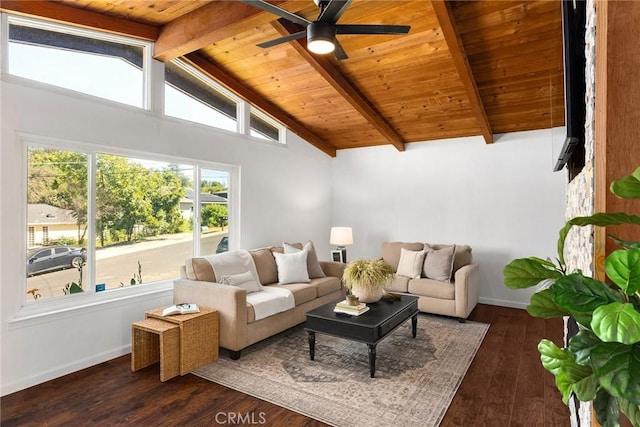 living room featuring ceiling fan, vaulted ceiling with beams, wood ceiling, and dark hardwood / wood-style floors