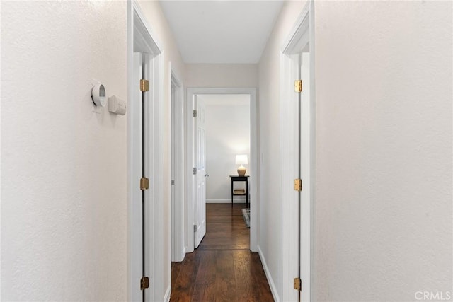 hall with dark hardwood / wood-style floors