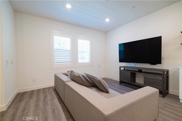 living room with wood-type flooring