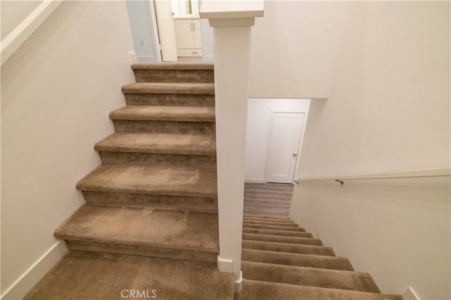 stairway with carpet