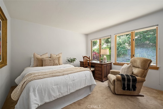 bedroom with light carpet