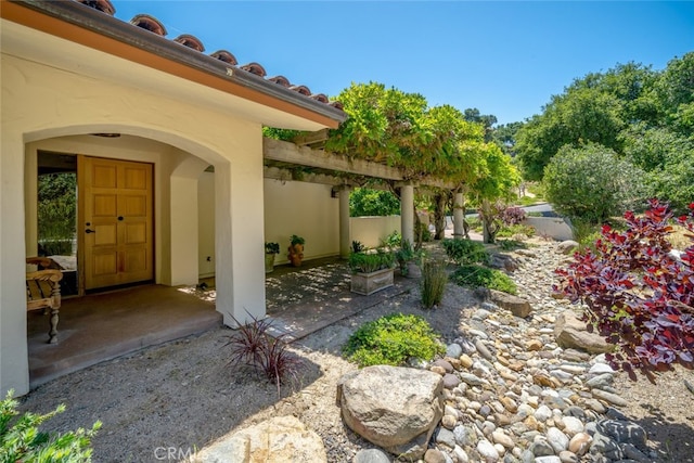 view of yard featuring a patio area