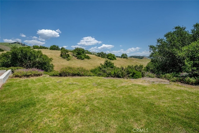 view of yard featuring a rural view