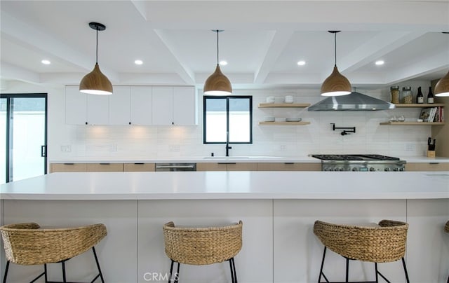 kitchen with a wealth of natural light, white cabinetry, stainless steel appliances, and ventilation hood