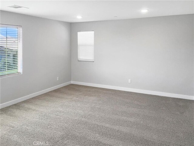 empty room featuring carpet flooring and a wealth of natural light