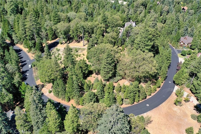 Listing photo 2 for 29230 Pigeon Hawk Ln, Lake Arrowhead CA 92352