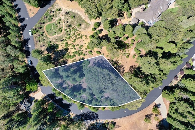 29230 Pigeon Hawk Ln, Lake Arrowhead CA, 92352 land for sale